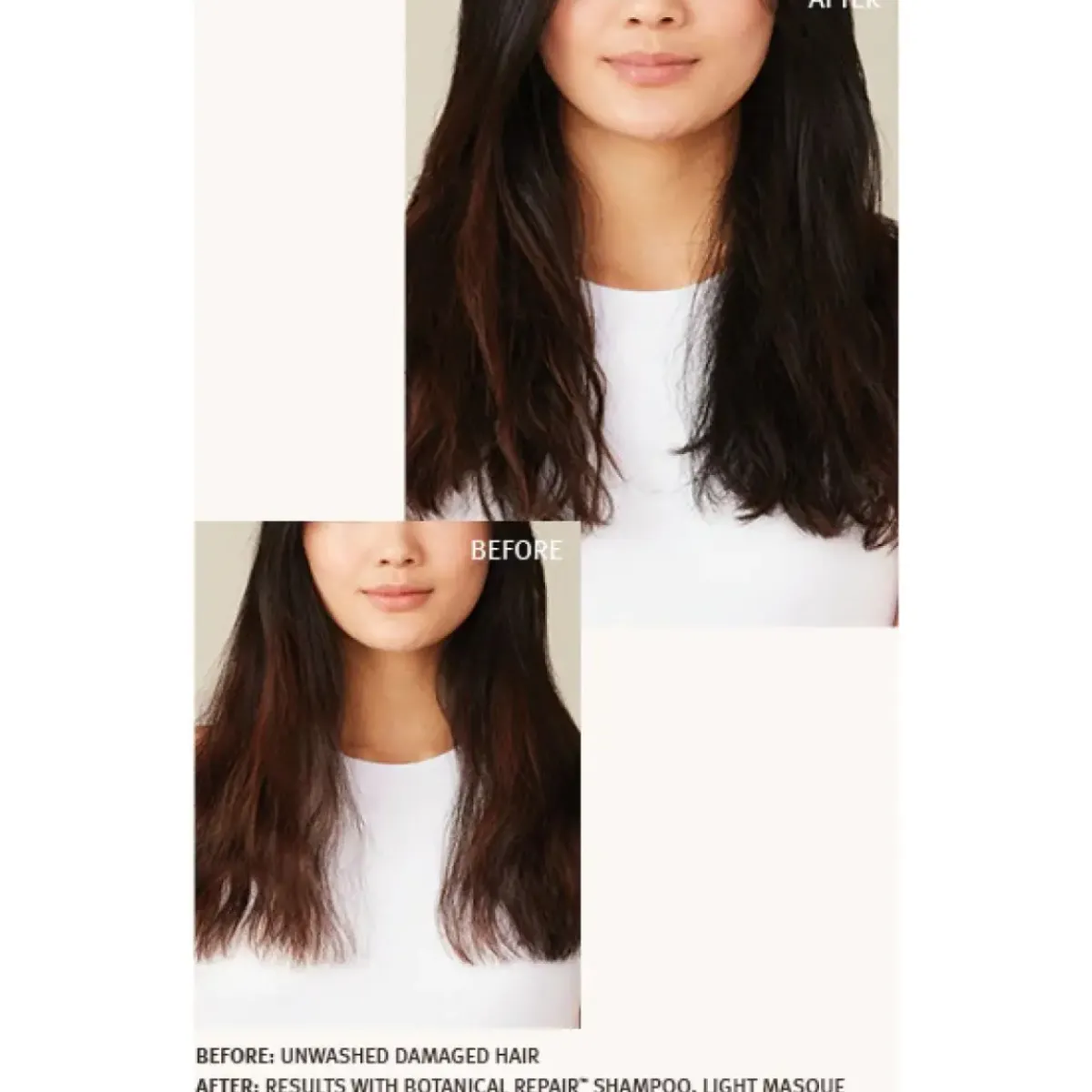 Aveda Shampoing>Botanical Repair Shampoo