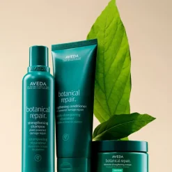 Aveda Shampoing><noscript><img width=