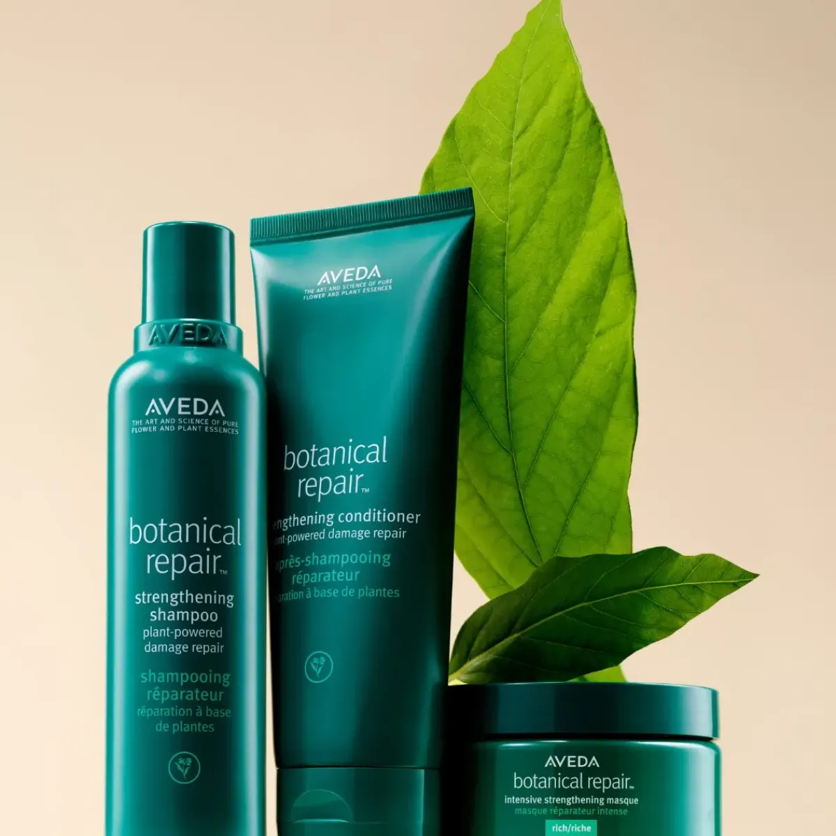 Aveda Shampoing>Botanical Repair Shampoo