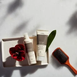 Aveda Shampoing><noscript><img width=