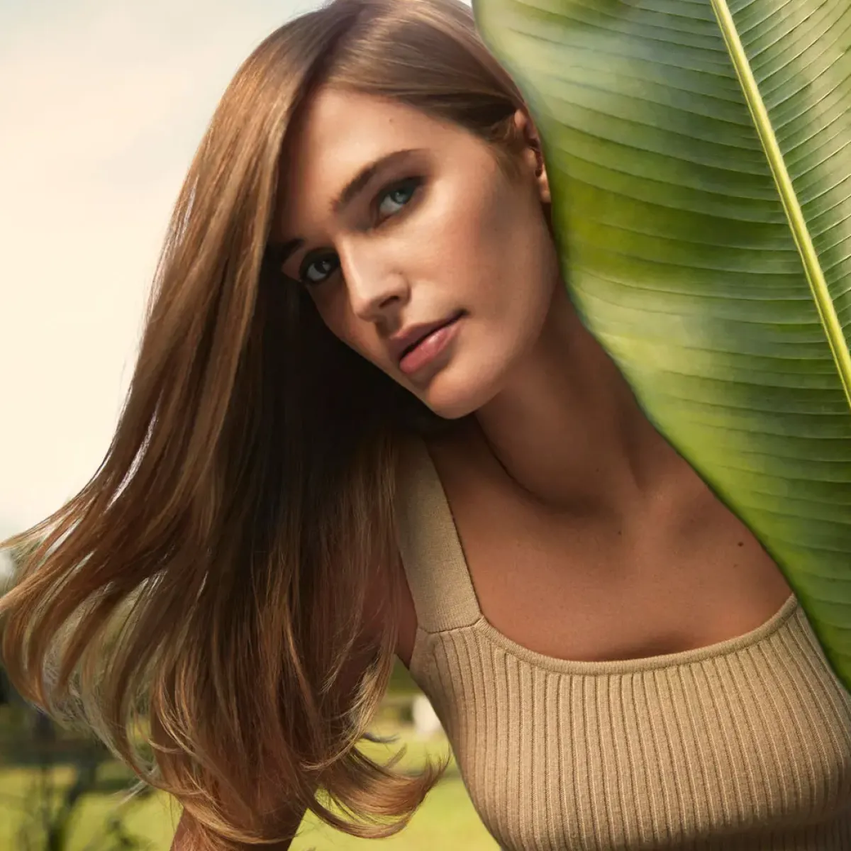 Aveda Shampoing>Nutriplenish Shampoo Light Moisture