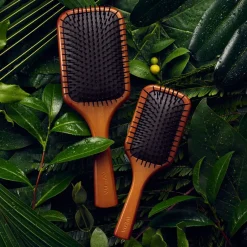 Aveda Pinceaux Et Peignage><noscript><img width=