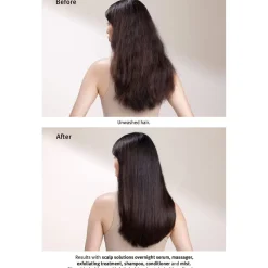 Aveda Soins Du Cuir Chevelu|Shampoing><noscript><img width=