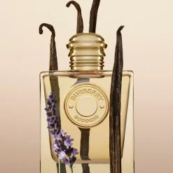 Burberry Parfums Épicés><noscript><img width=
