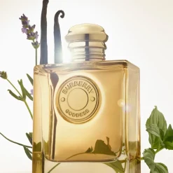 Burberry Parfums Épicés><noscript><img width=