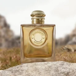 Burberry Parfums Épicés><noscript><img width=