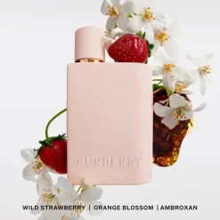 Burberry Parfums Épicés><noscript><img width=