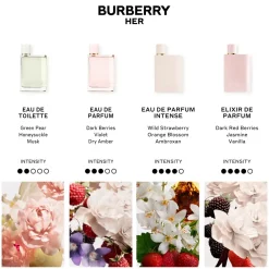 Burberry Parfums Épicés><noscript><img width=