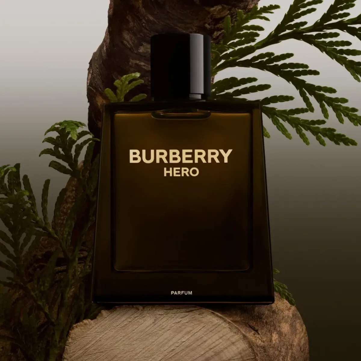 Burberry Parfums Épicés>Hero Parfum