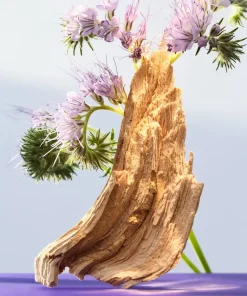Bvlgari Parfums Floraux><noscript><img width=