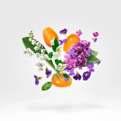 Xerjoff Parfums De Niche Pour Femmes><noscript><img width=
