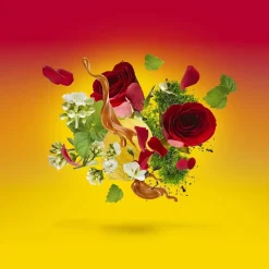 Xerjoff Parfums Floraux><noscript><img width=