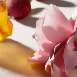 Chloé Parfums Floraux|Déodorant><noscript><img width=