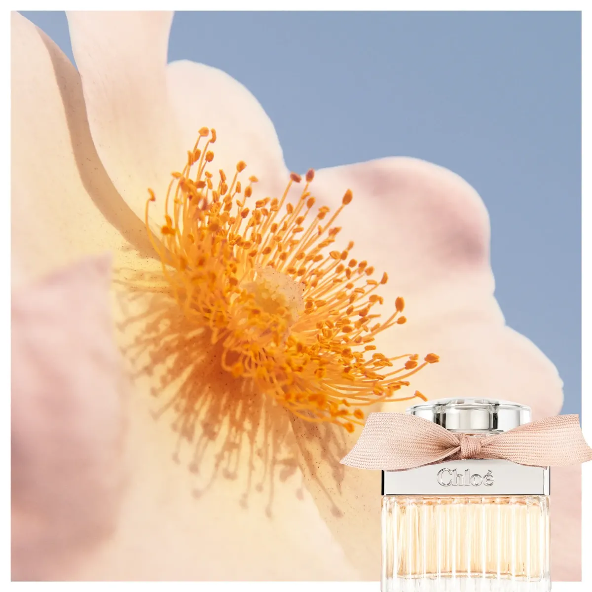 Chloé Parfums Floraux>Chloe Eau de Parfum Navulling