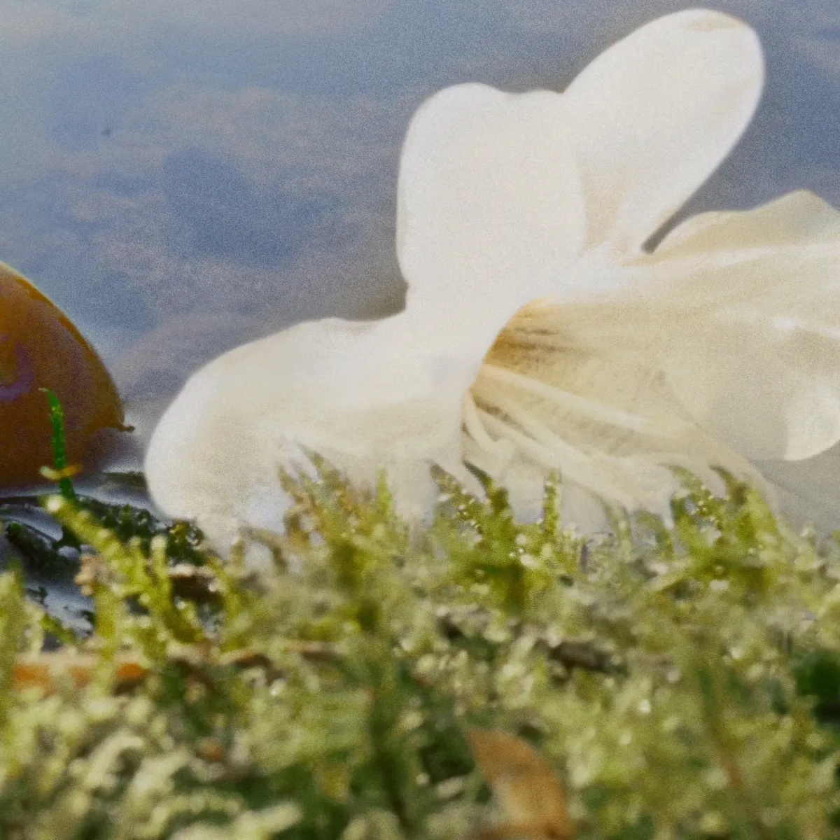 Chloé Parfums Floraux>Chloe Nomade Eau de Parfum Spray