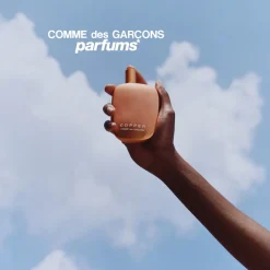 Comme des Garu00e7ons Parfums Épicés><noscript><img width=