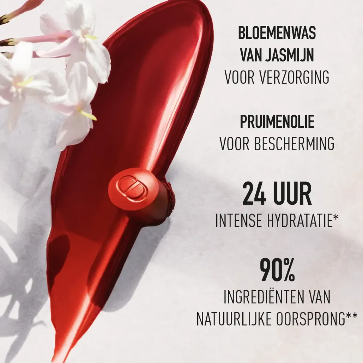 DIOR Rouge À Lèvres>Addict Lipstick Refill