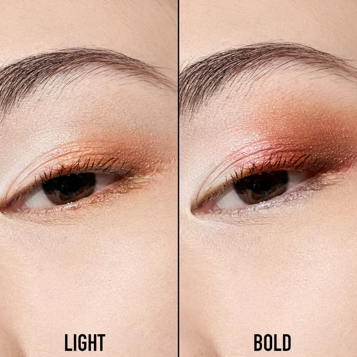 DIOR Le Fard À Paupières>Backstage Eye Palette
