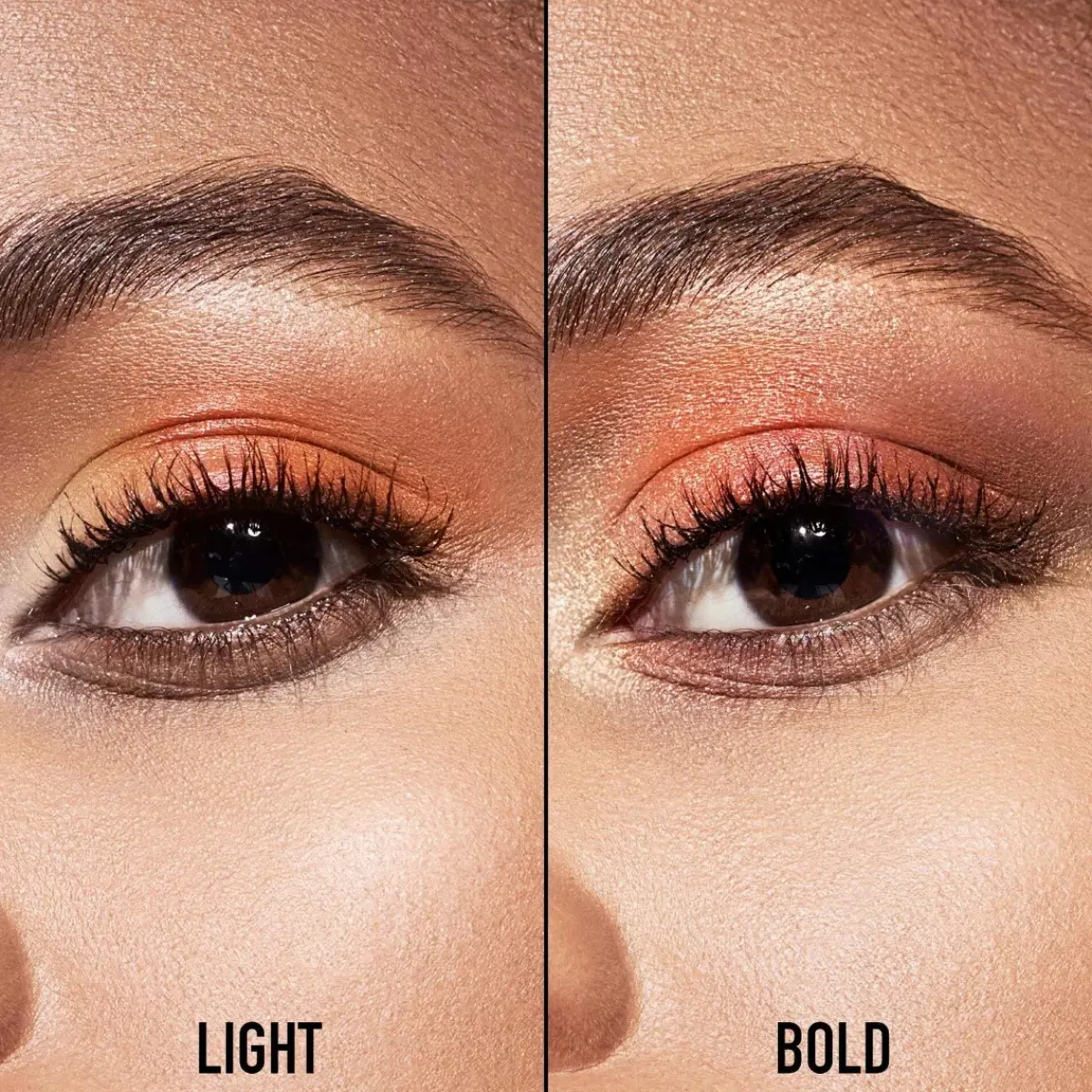 DIOR Le Fard À Paupières>Backstage Eye Palette