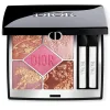 DIOR Le Fard À Paupières>show 5 Couleurs Oogschaduwpalette - Limited Edition