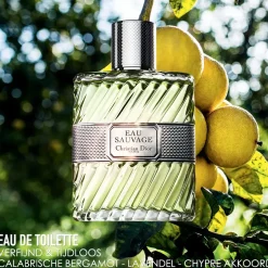 DIOR Parfums Frais|Parfums Floraux><noscript><img width=