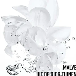 DIOR Crème De Jour><noscript><img width=