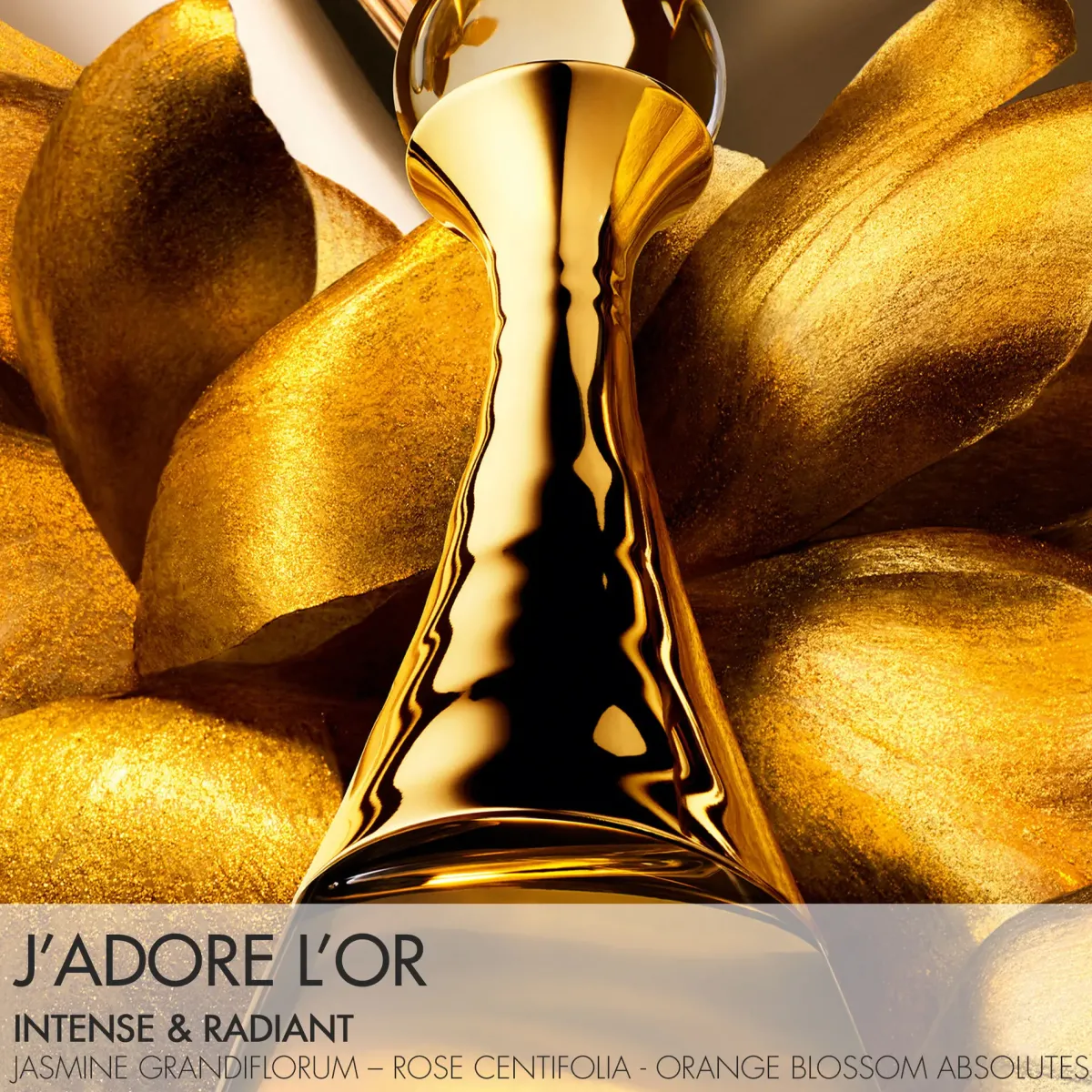 DIOR Parfums Floraux>J'adore L'Or Parfum