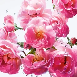 DIOR Parfums Floraux><noscript><img width=
