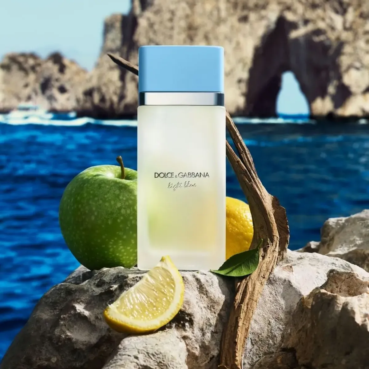 Dolce & Gabbana Parfums Frais|Parfums Floraux>Light Blue Eau de Toilette