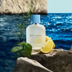 Dolce & Gabbana Parfums Frais><noscript><img width=