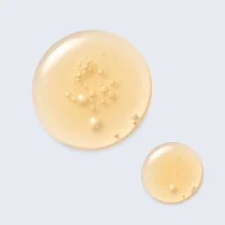 Estée Lauder Serum>Advanced Night Repair Synchronized Multi-Recovery Complex Serum