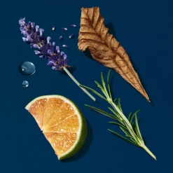 Armani Parfums Frais><noscript><img width=