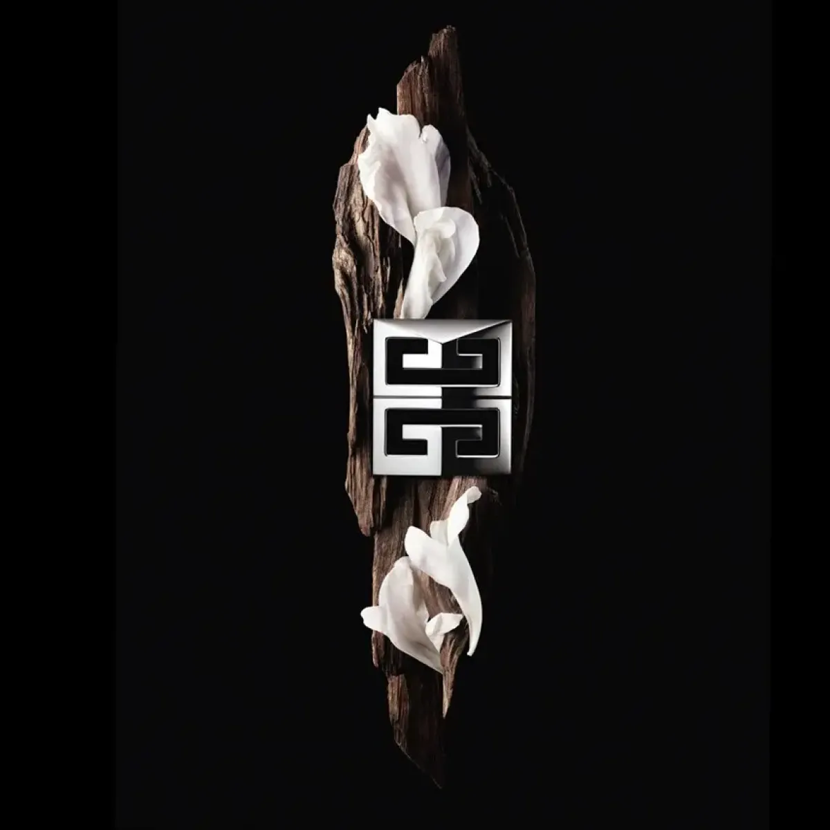 Givenchy Déodorant>Gentleman Society Deodorant Spray