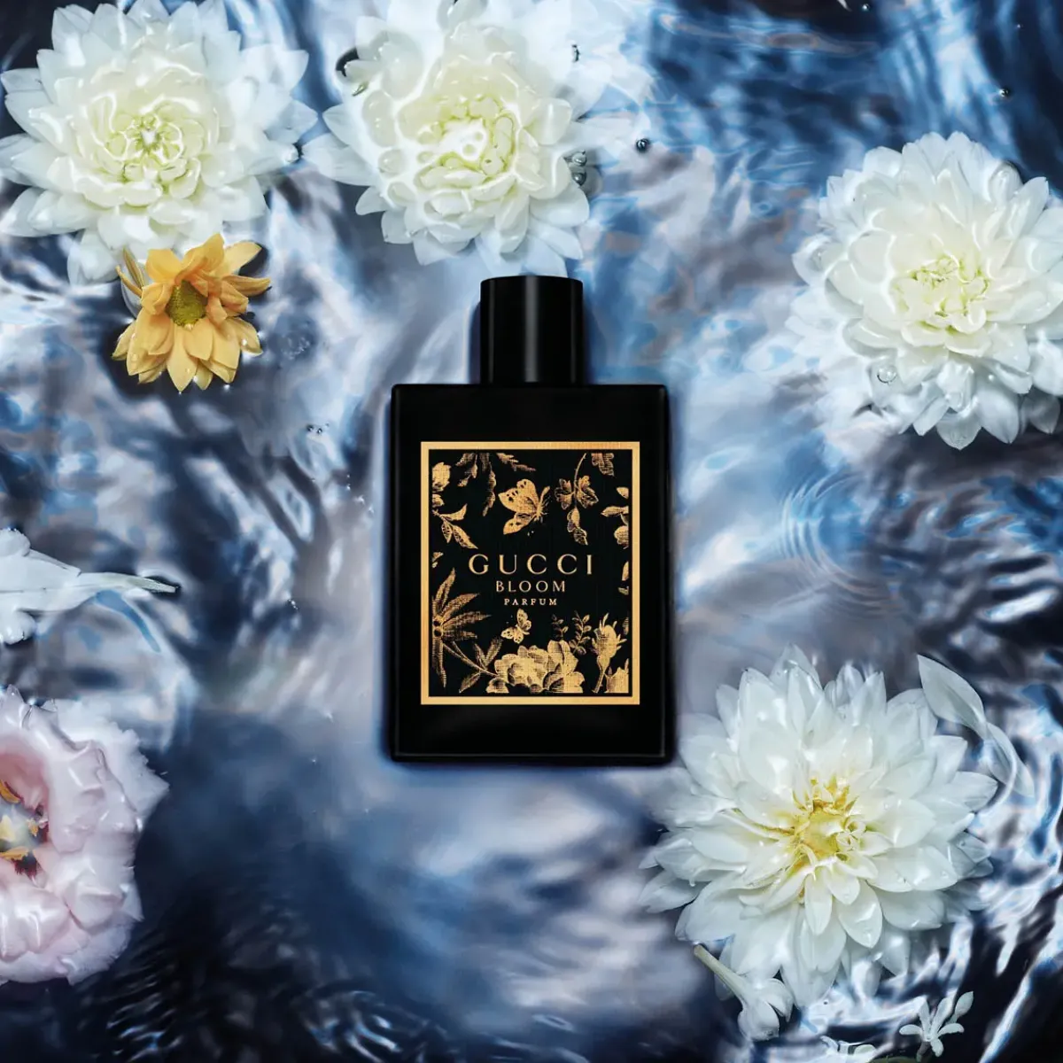 Gucci Parfums Épicés|Parfums Floraux>Bloom Parfum