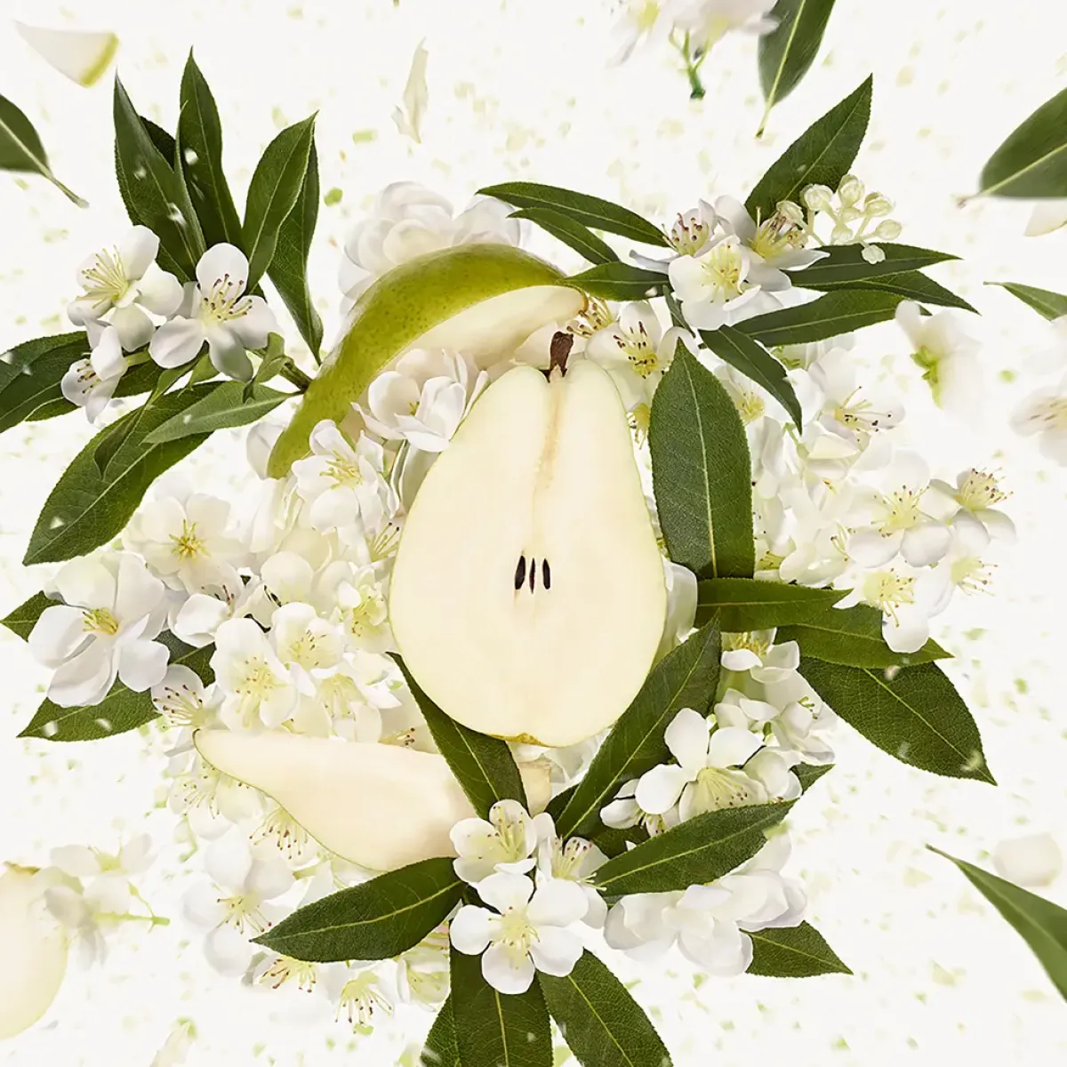 Gucci Parfums Floraux>Flora Gorgeous Gardenia Eau de Parfum Spray