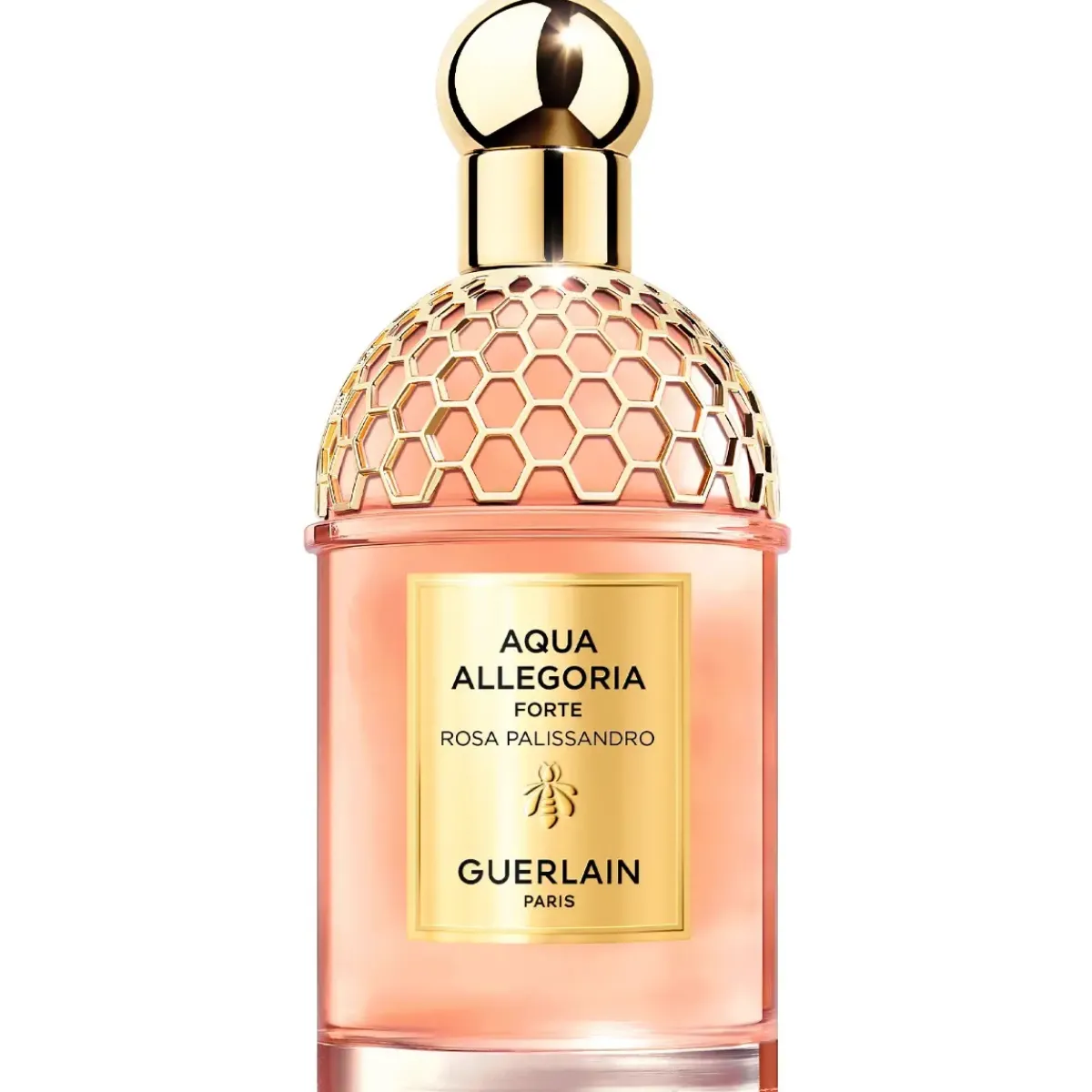 Guerlain Parfums Frais|Parfums Floraux>Aqua Allegoria Forte Rosa Palissandro Eau de Parfum