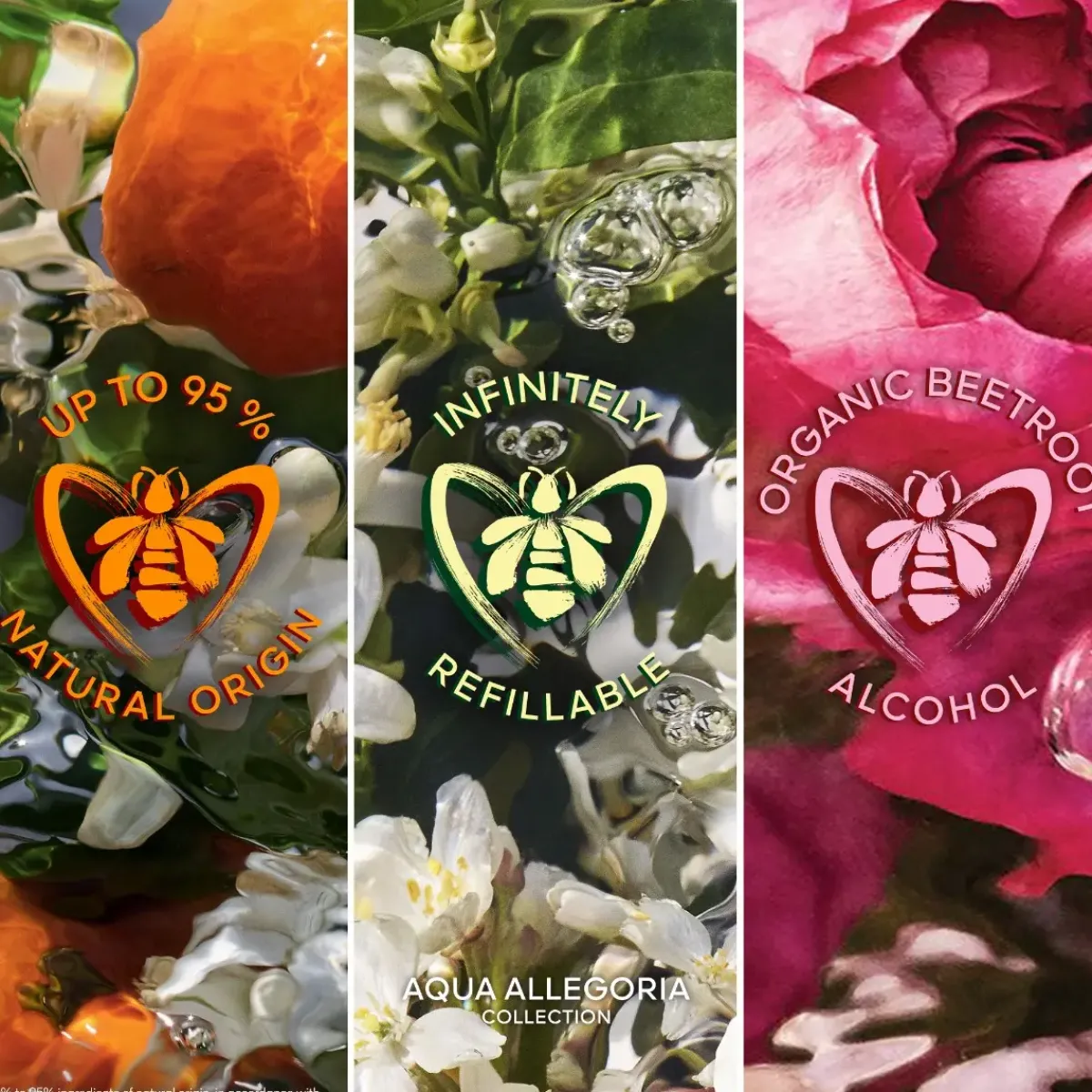 Guerlain Parfums Frais|Parfums Floraux>Aqua Allegoria Forte Rosa Palissandro Eau de Parfum