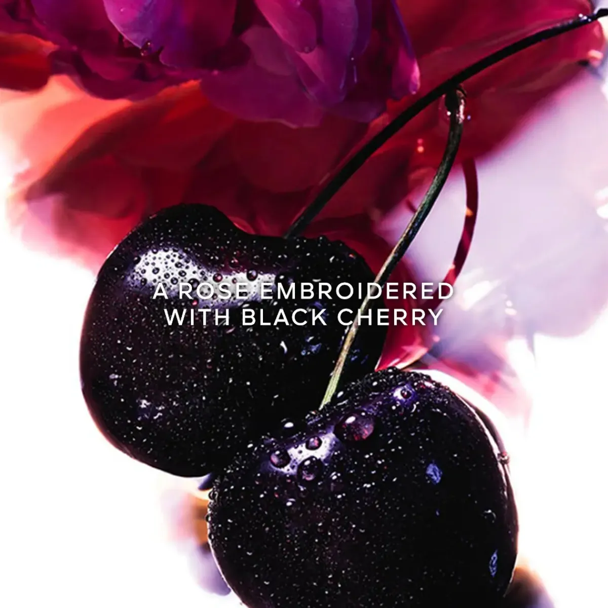 Guerlain Parfums Floraux>La Petite Robe Noire Eau de Parfum Spray