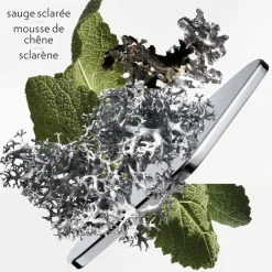 Hermès Parfums Frais><noscript><img width=
