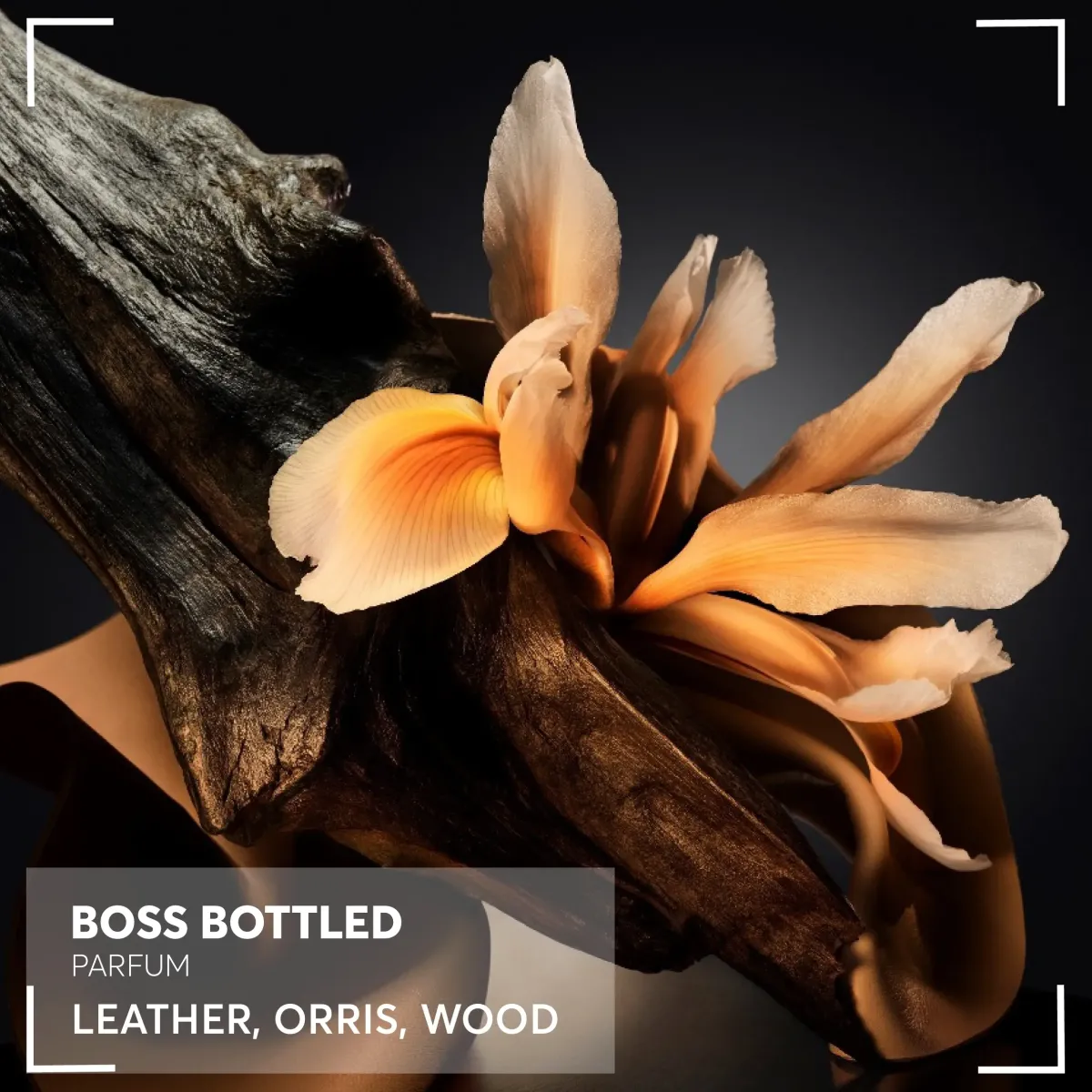 Hugo Boss Parfums Épicés>BOSS Bottled Parfum Spray