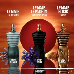 Jean Paul Gaultier Parfums Épicés><noscript><img width=