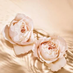Jimmy Choo Parfums Floraux><noscript><img width=