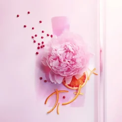 Lancôme Parfums Floraux><noscript><img width=
