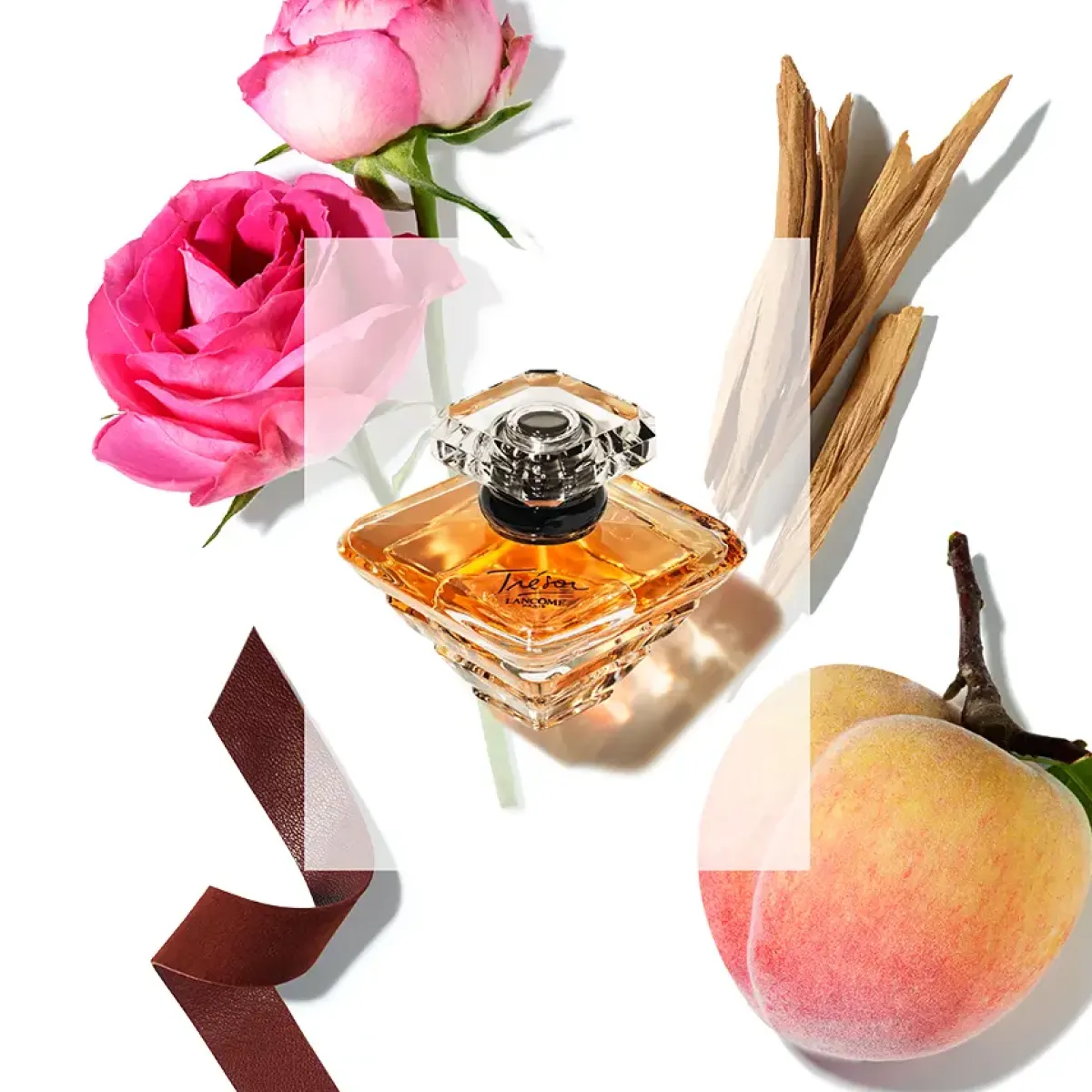Lancôme Parfums Épicés|Parfums Floraux>Tresor Eau de Parfum Spray