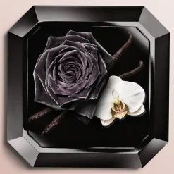 Lancôme Parfums Épicés><noscript><img width=