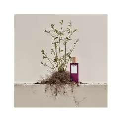 Loewe Parfums De Niche Pour Hommes|Parfums Floraux><noscript><img width=