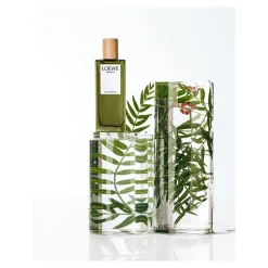 Loewe Parfums De Niche Pour Hommes><noscript><img width=