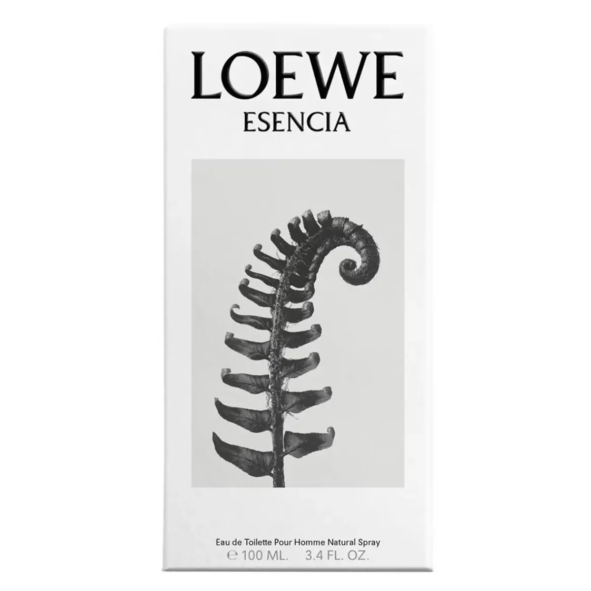 Loewe Parfums De Niche Pour Hommes|Parfums Frais>Esencia Eau de Toilette Spray