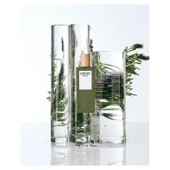 Loewe Parfums De Niche Pour Hommes|Parfums Frais><noscript><img width=