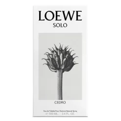 Loewe Parfums De Niche Pour Hommes|Parfums Épicés><noscript><img width=